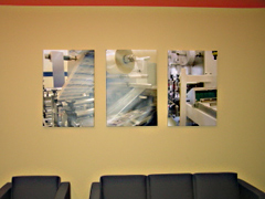 Amy's Art Shop custom corporate designed wall art